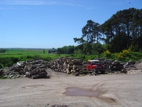 30th May 2009 026